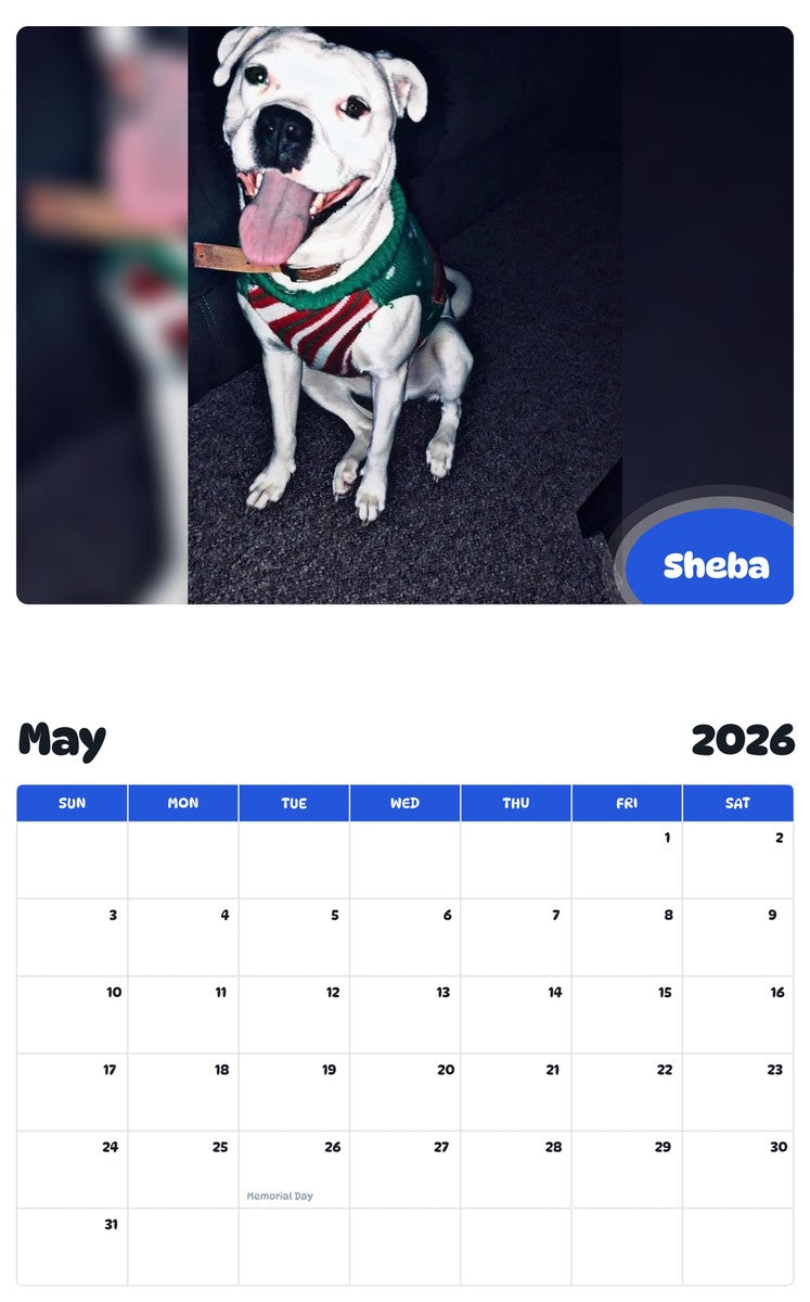 2026 - 2027 Sheba - Pawidols Pet Calendar