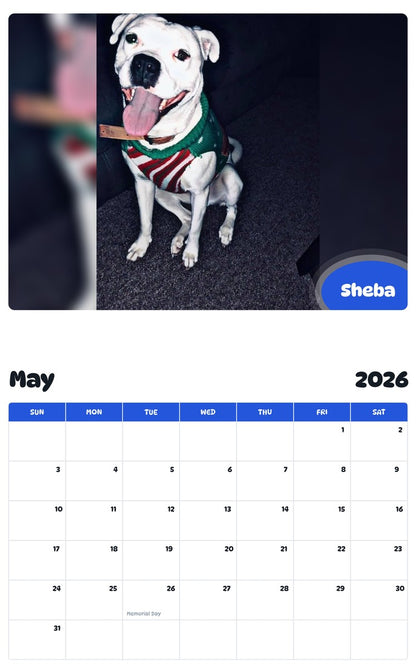 2026 - 2027 Sheba - Pawidols Pet Calendar