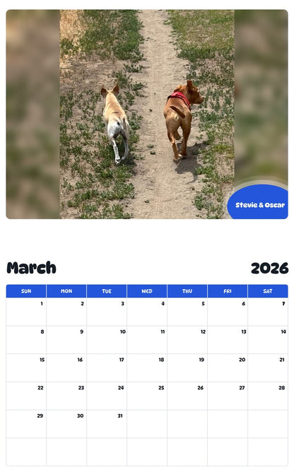 November 2025 - October 2026 Stevie & Oscar - Pawidols Pet Calendar