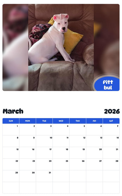 November 2025 - October 2026 Pitt bul - Pawidols Pet Calendar