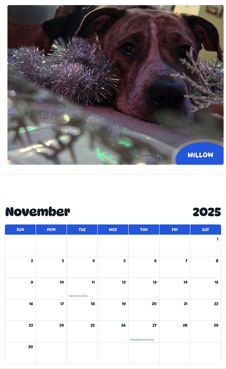 July 2025 - June 2026 Willow - Pawidols Pet Calendar