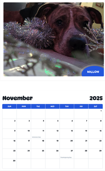 July 2025 - June 2026 Willow - Pawidols Pet Calendar