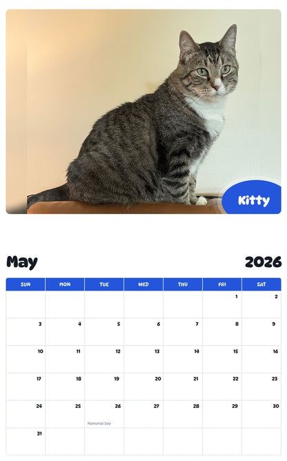 2026 - 2027 Kitty - Pawidols Pet Calendar