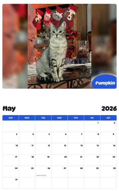 2026 - 2027 Pumpkin - Pawidols Pet Calendar