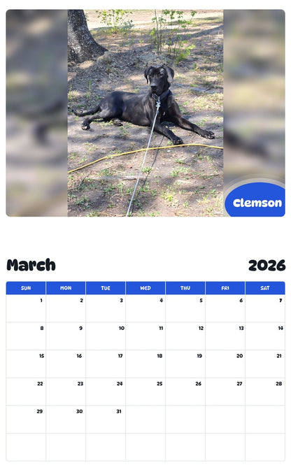 November 2025 - October 2026 Clemson - Pawidols Pet Calendar