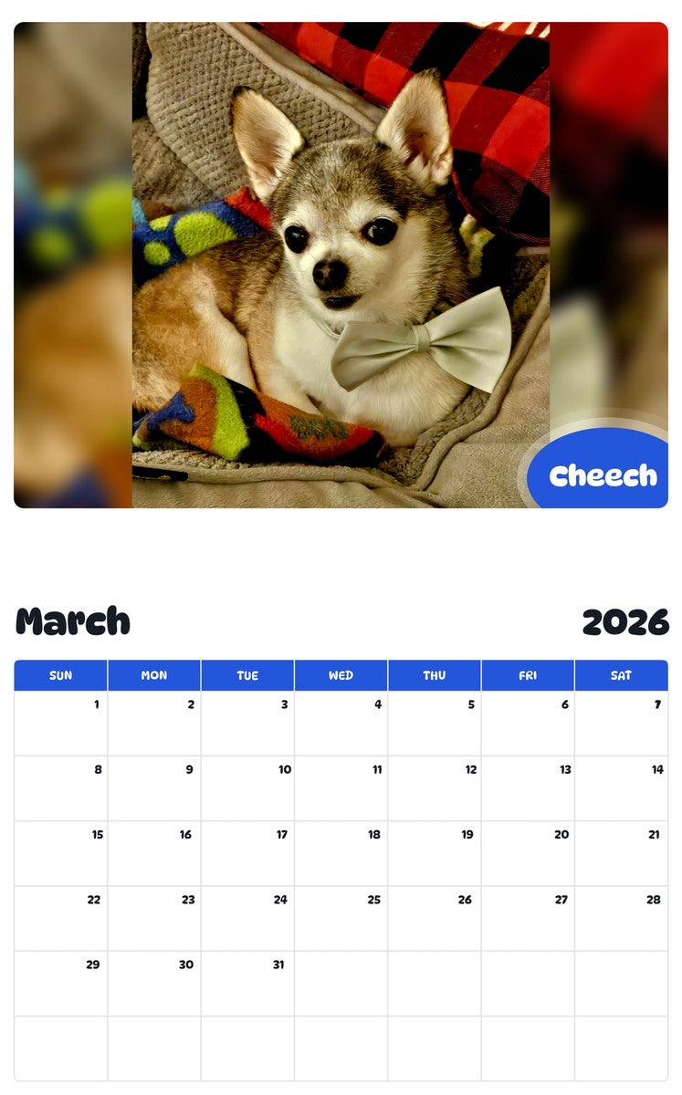November 2025 - October 2026 Cheech - Pawidols Pet Calendar