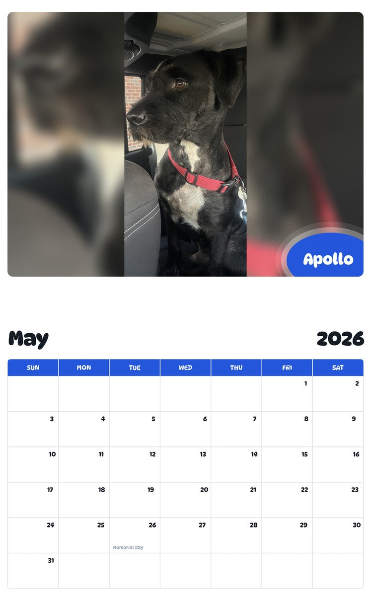 2026 - 2027 Apollo - Pawidols Pet Calendar