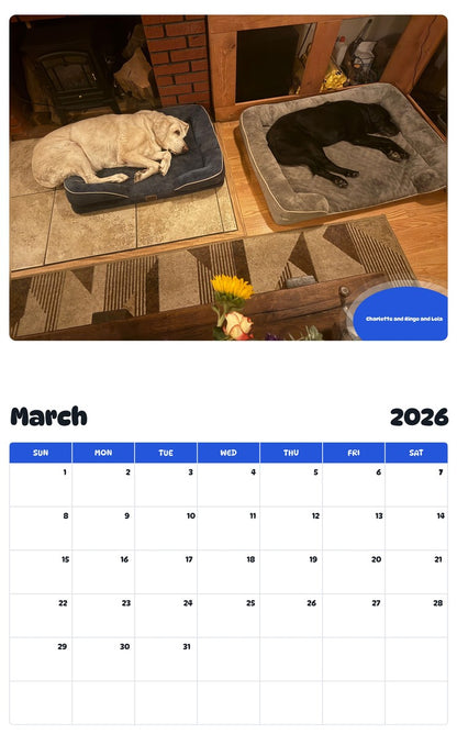 November 2025 - October 2026 Charlotte and Ringo and Lola - Pawidols Pet Calendar