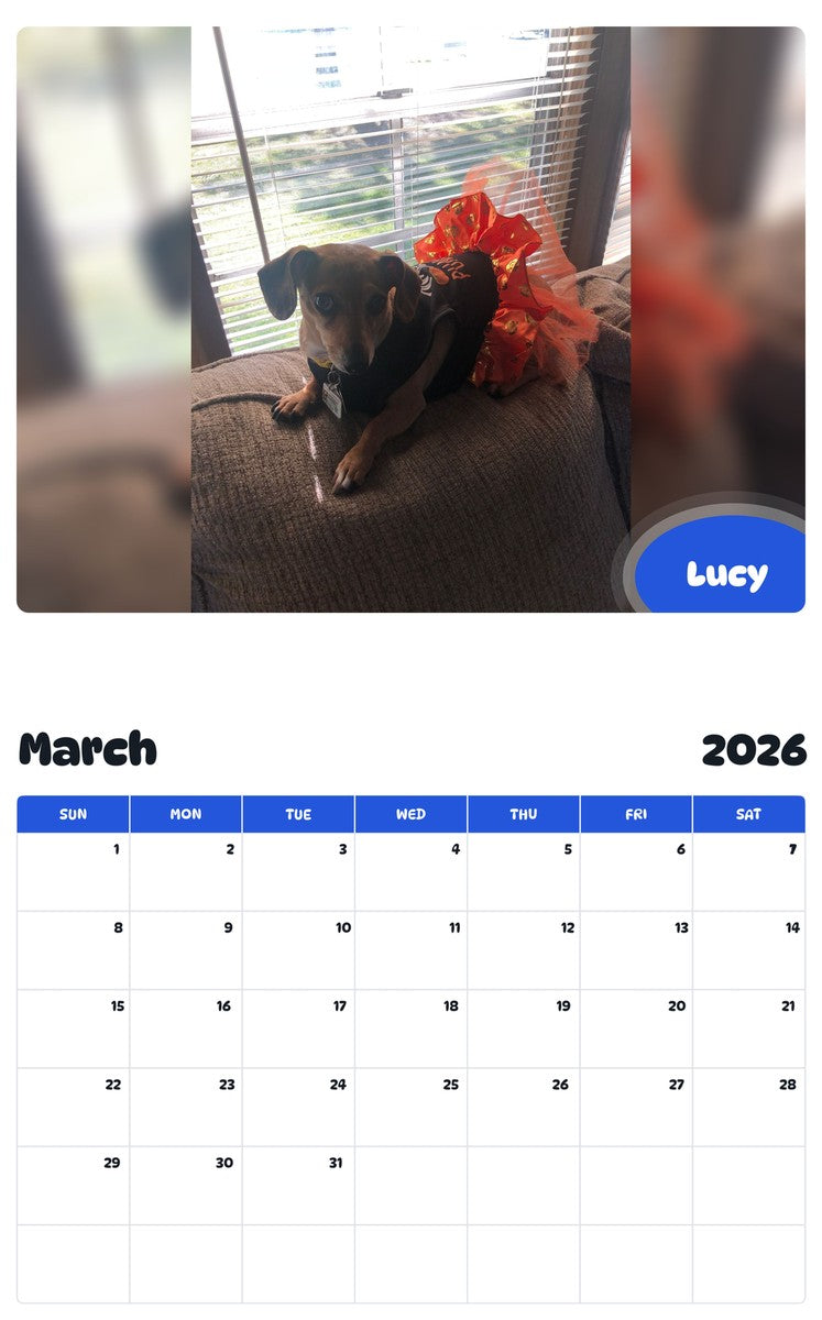 November 2025 - October 2026 Lucy - Pawidols Pet Calendar