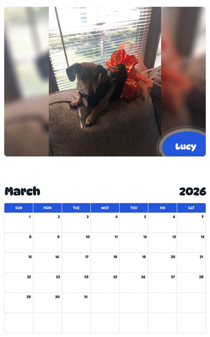 November 2025 - October 2026 Lucy - Pawidols Pet Calendar