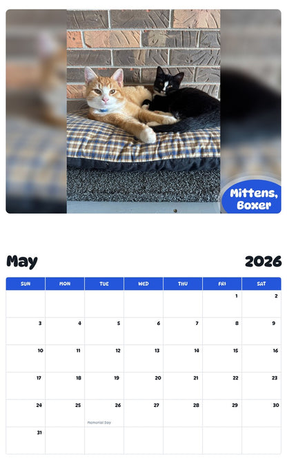 2026 - 2027 Mittens, Boxer - Pawidols Pet Calendar