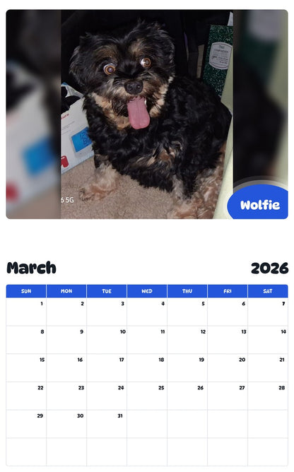 November 2025 - October 2026 Wolfie - Pawidols Pet Calendar