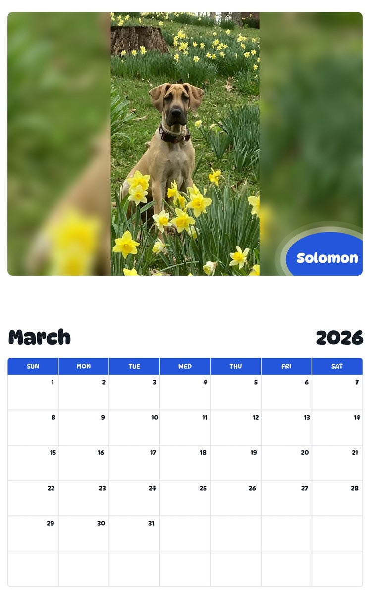November 2025 - October 2026 Solomon - Pawidols Pet Calendar