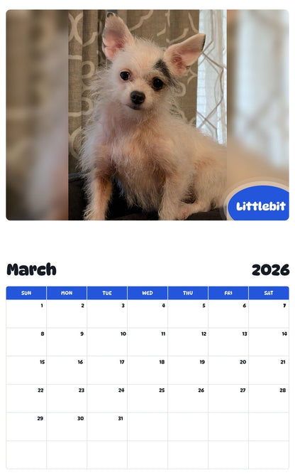 November 2025 - October 2026 Littlebit - Pawidols Pet Calendar
