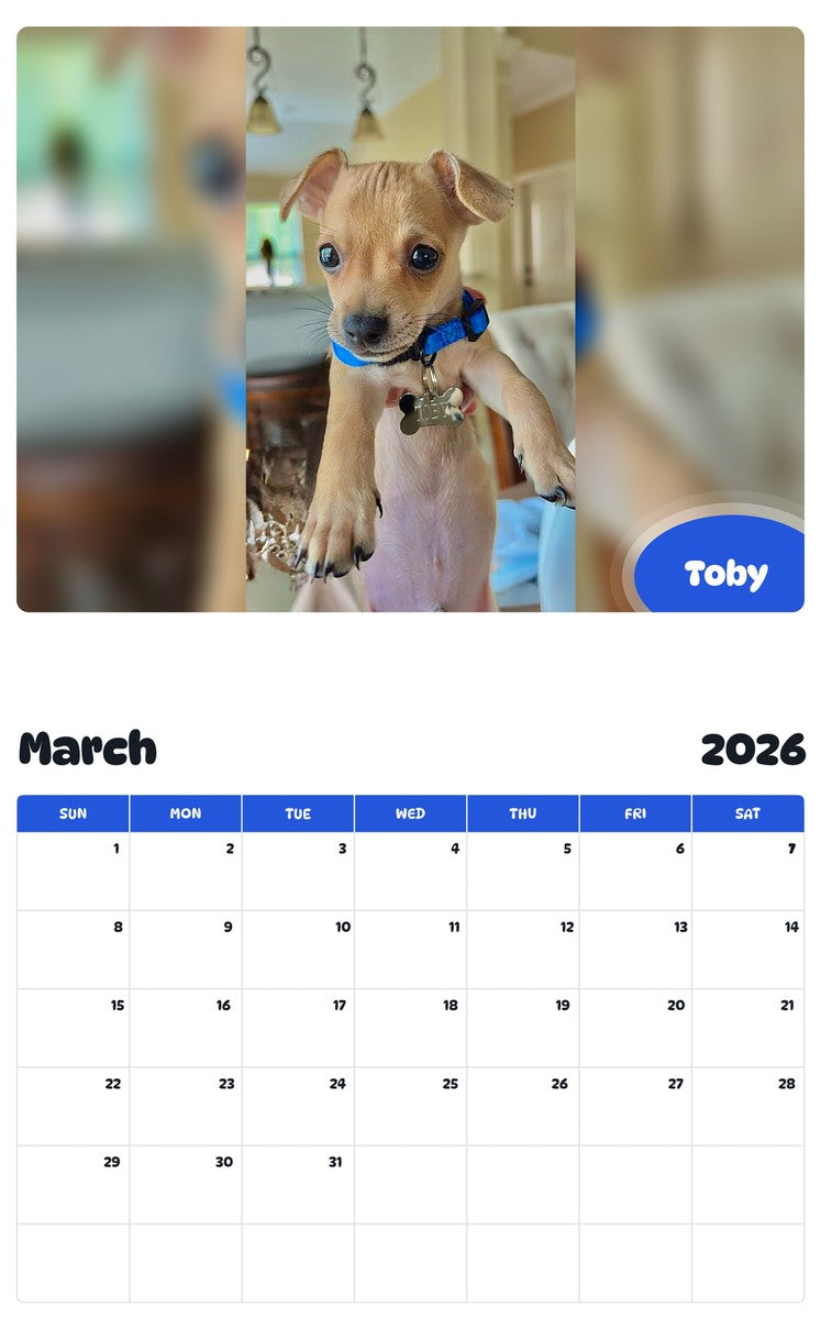 November 2025 - October 2026 Toby - Pawidols Pet Calendar