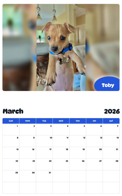November 2025 - October 2026 Toby - Pawidols Pet Calendar