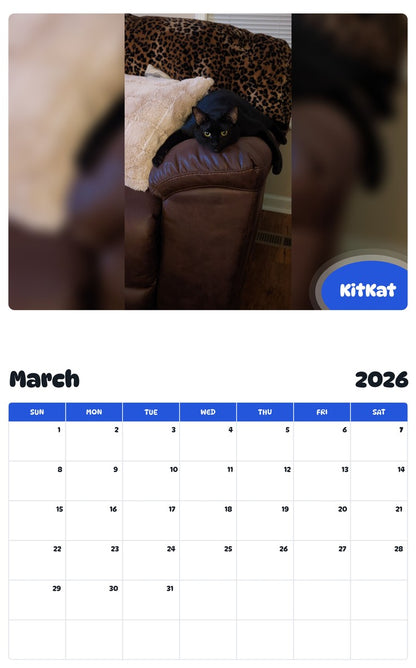 November 2025 - October 2026 KitKat - Pawidols Pet Calendar