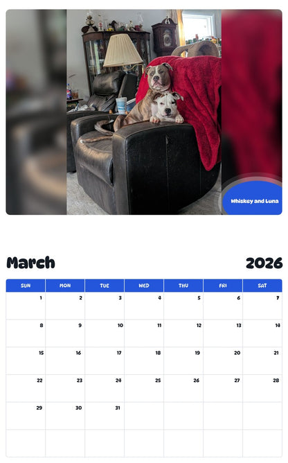 November 2025 - October 2026 Whiskey and Luna - Pawidols Pet Calendar