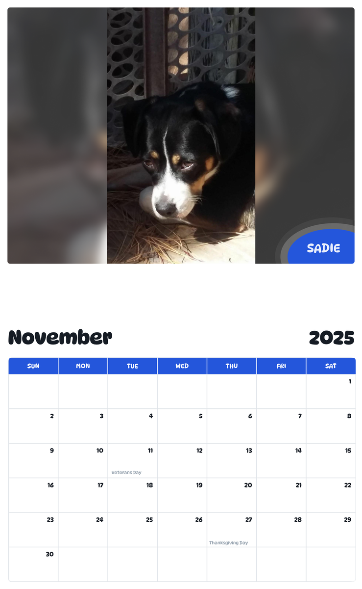 July 2025 - June 2026 Sadie - Pawidols Pet Calendar