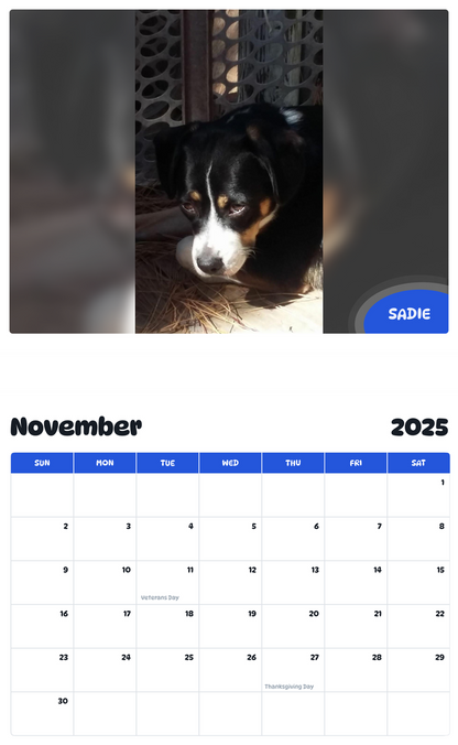 July 2025 - June 2026 Sadie - Pawidols Pet Calendar