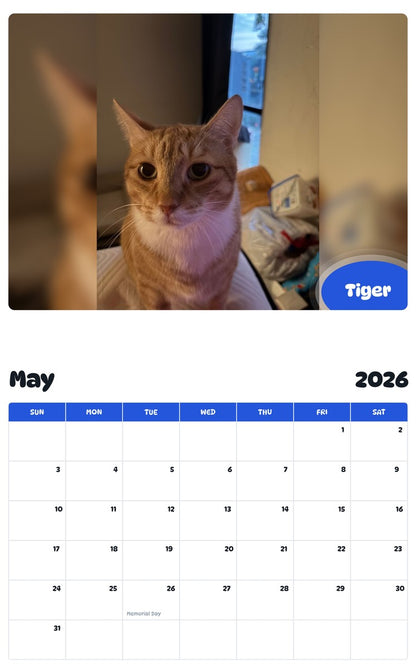 2026 - 2027 Tiger - Pawidols Pet Calendar