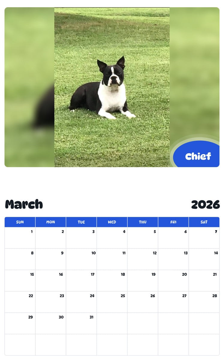 November 2025 - October 2026 Chief - Pawidols Pet Calendar