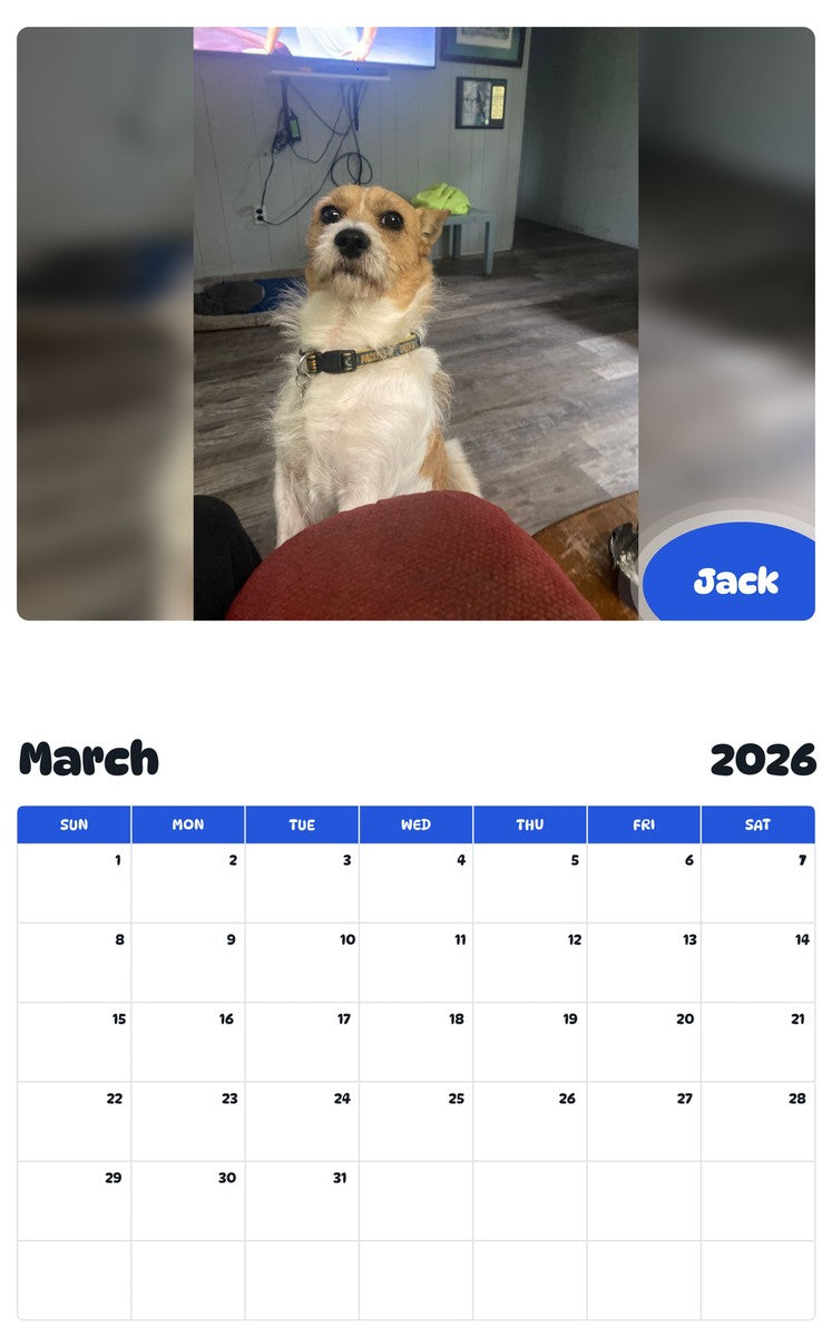 November 2025 - October 2026 Jack - Pawidols Pet Calendar