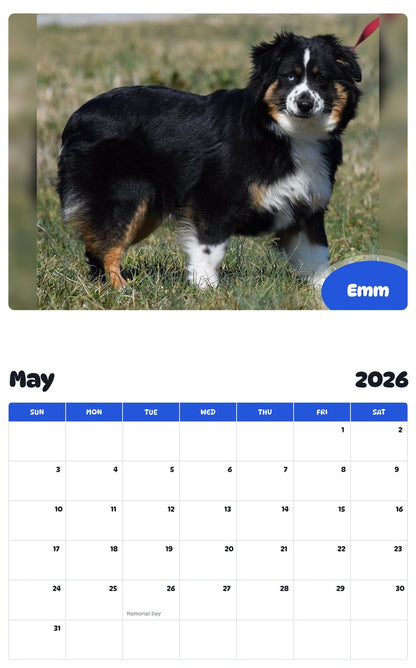 2026 - 2027 Emm - Pawidols Pet Calendar