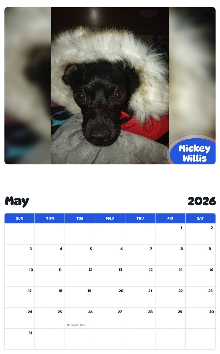 2026 - 2027 Mickey Willis - Pawidols Pet Calendar