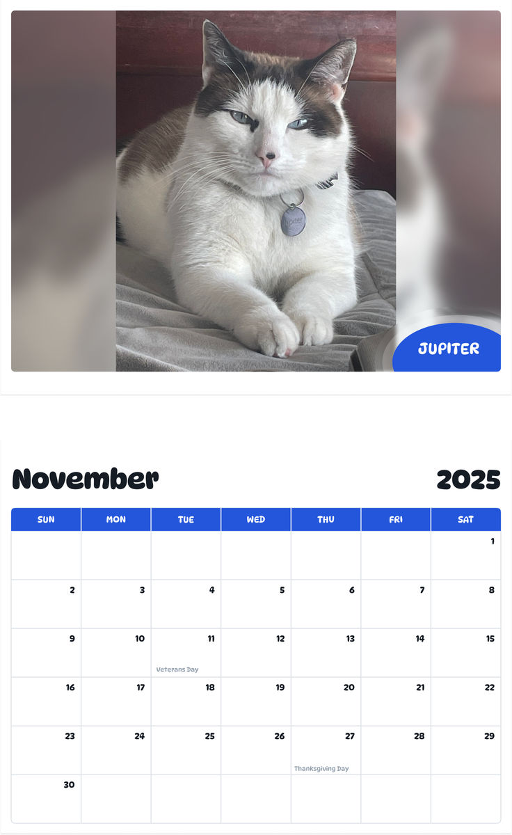 July 2025 - June 2026 Jupiter - Pawidols Pet Calendar