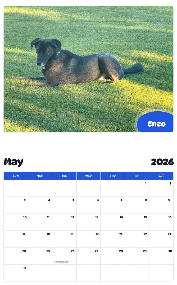 2026 - 2027 Enzo - Pawidols Pet Calendar