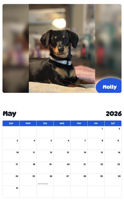 2026 - 2027 Molly - Pawidols Pet Calendar