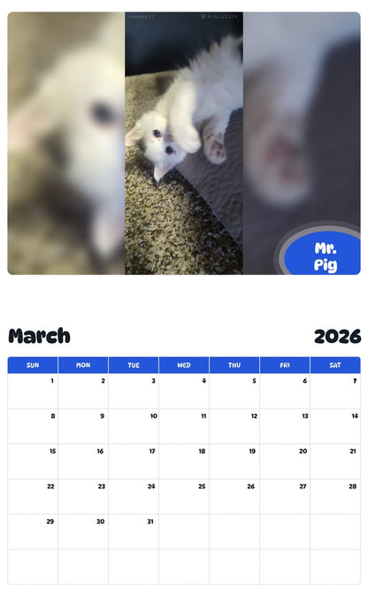 November 2025 - October 2026 Mr. Pig - Pawidols Pet Calendar