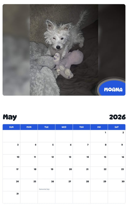 2026 - 2027 MOANA - Pawidols Pet Calendar