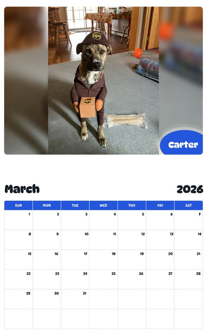 November 2025 - October 2026 Carter - Pawidols Pet Calendar