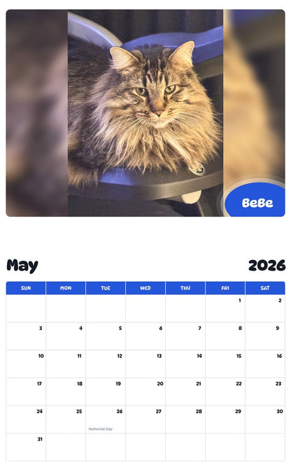 2026 - 2027 BeBe - Pawidols Pet Calendar