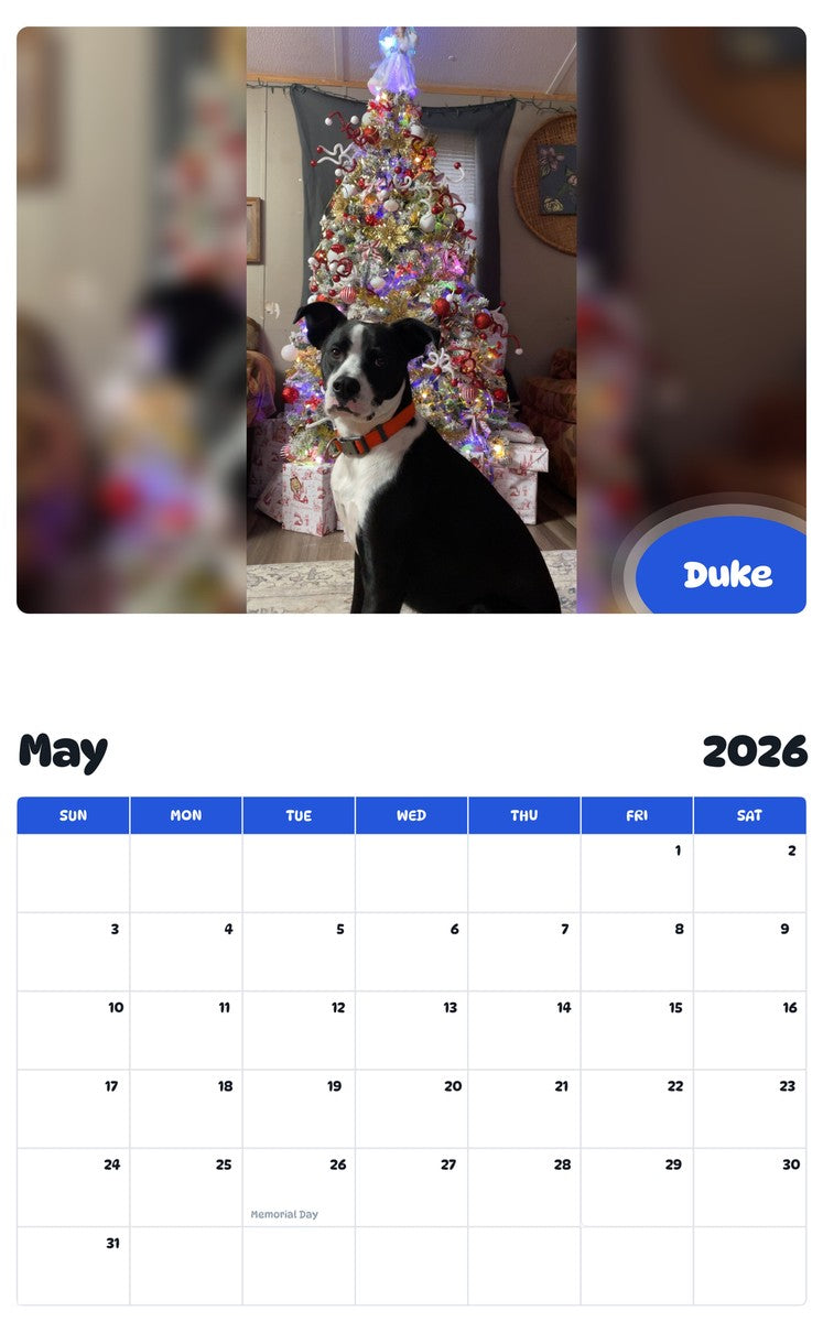 2026 - 2027 Duke - Pawidols Pet Calendar