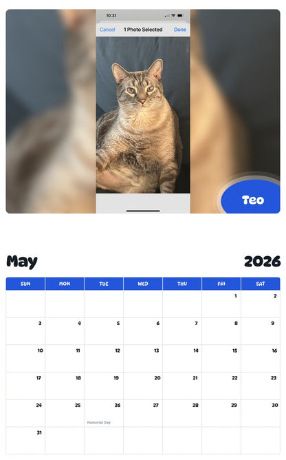 2026 - 2027 Teo - Pawidols Pet Calendar