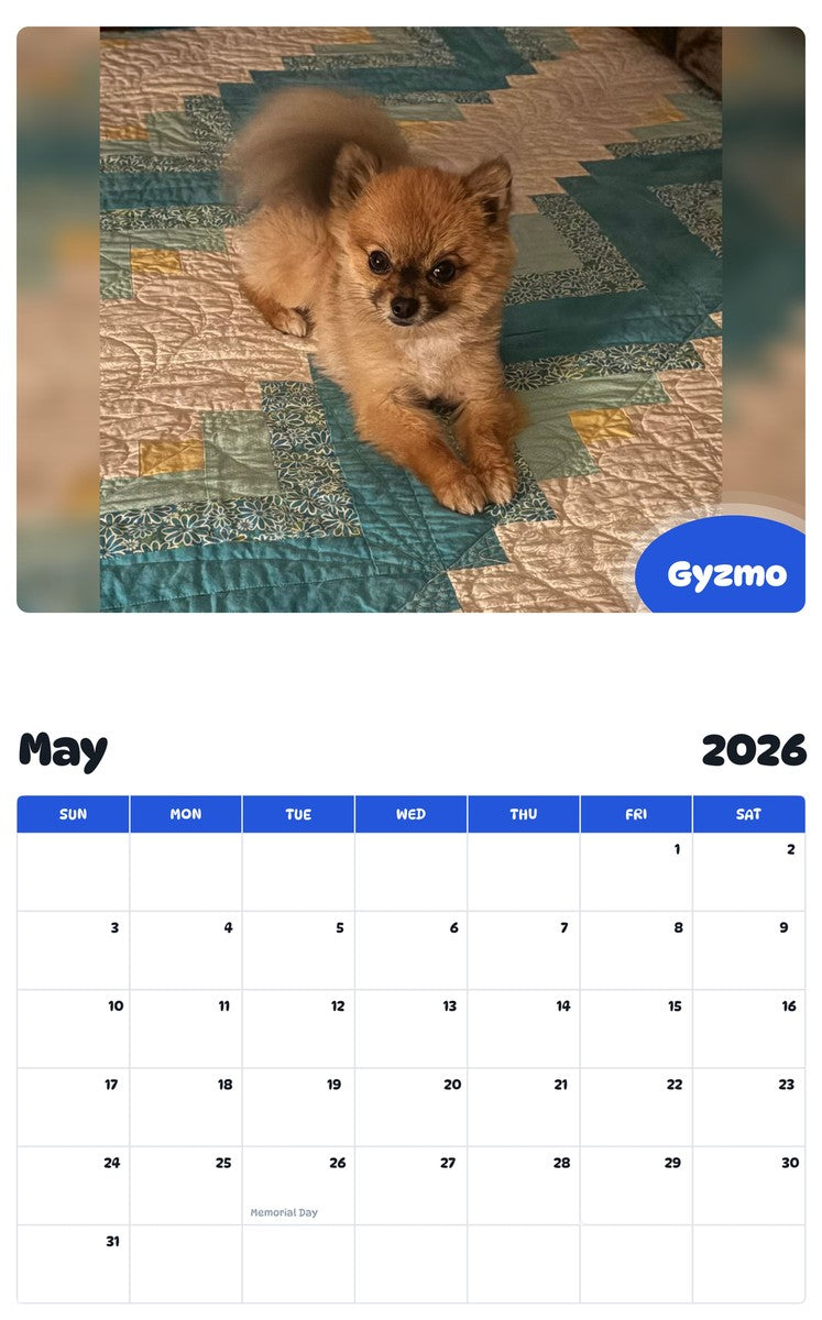 2026 - 2027 Gyzmo - Pawidols Pet Calendar