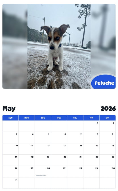 2026 - 2027 Peluche - Pawidols Pet Calendar