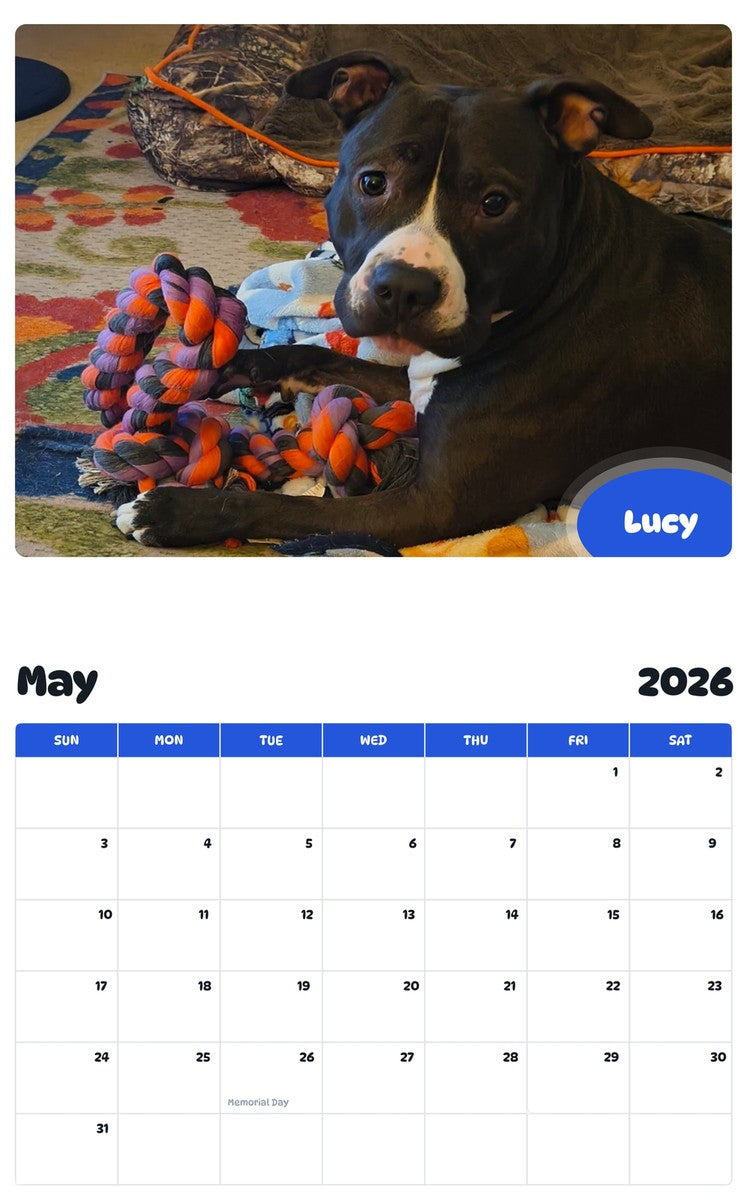 2026 - 2027 Lucy - Pawidols Pet Calendar