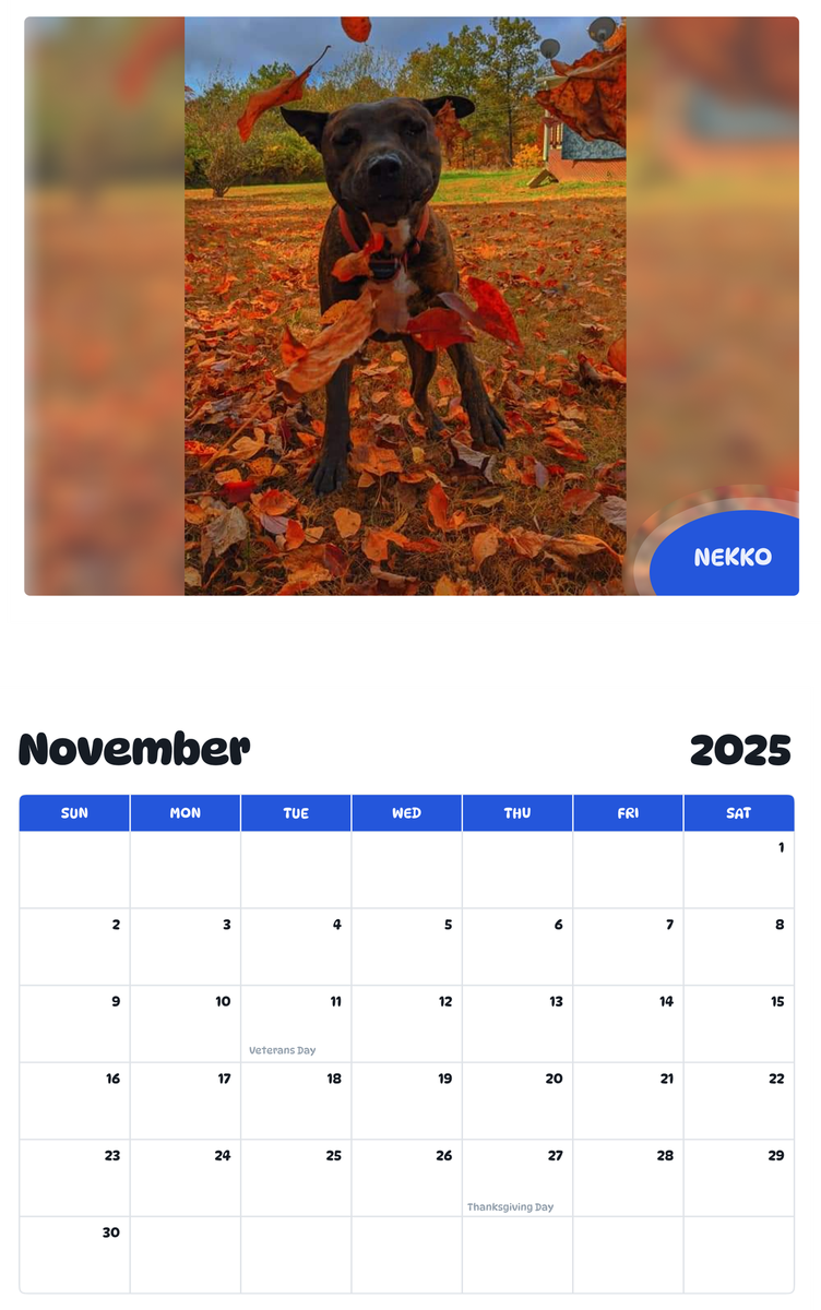 July 2025 June 2026 Nekko Pawidols Pet Calendar July 2025 june 2026 nekko pawidols pet calendar