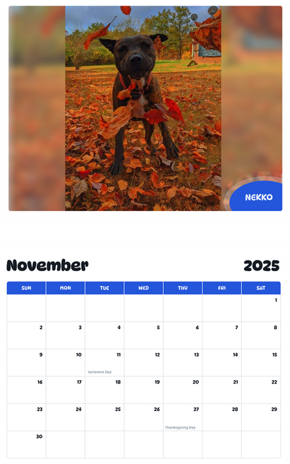 July 2025 - June 2026 Nekko - Pawidols Pet Calendar