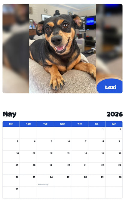 2026 - 2027 Lexi - Pawidols Pet Calendar