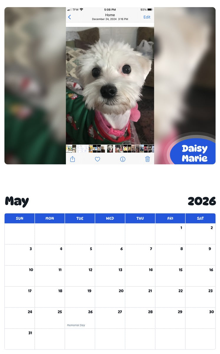 2026 - 2027 Daisy Marie - Pawidols Pet Calendar