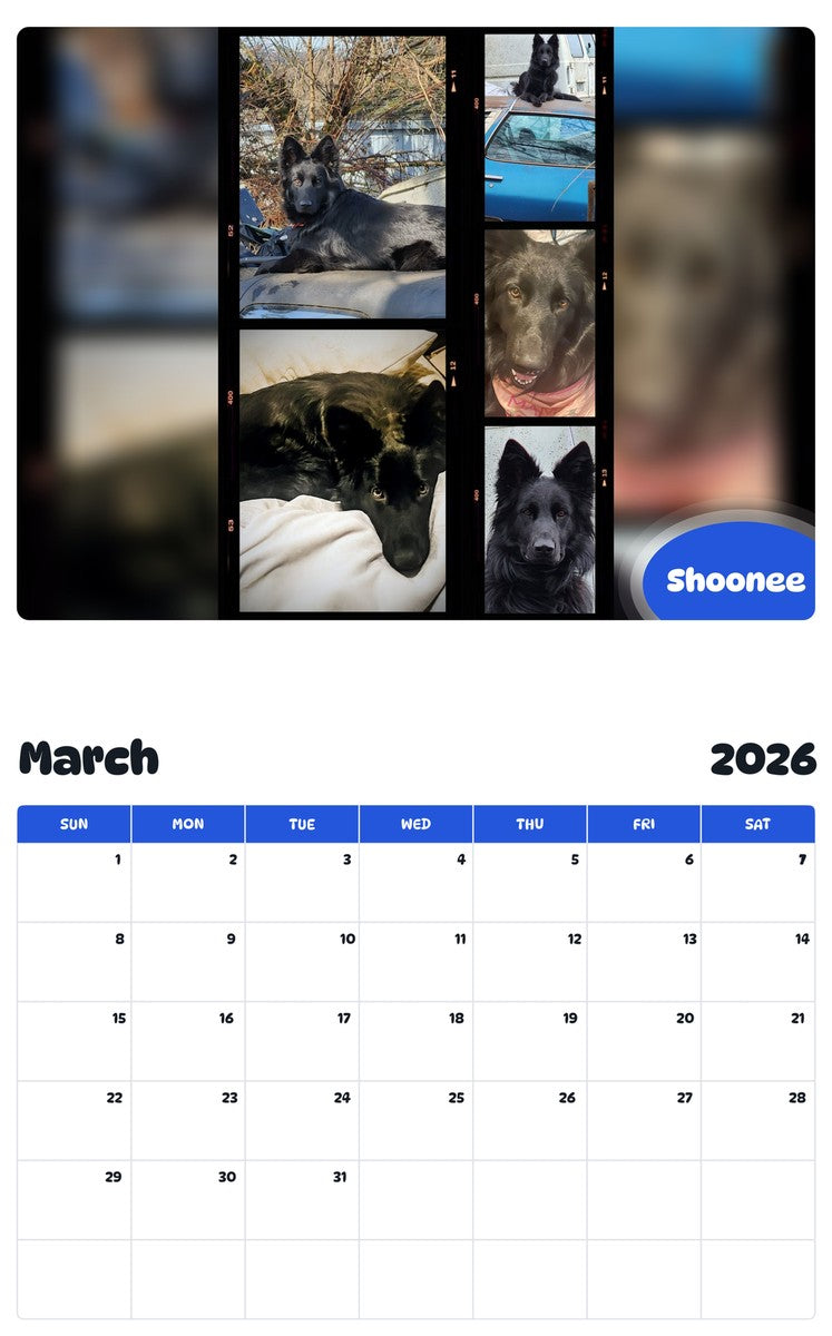 November 2025 - October 2026 Shoonee - Pawidols Pet Calendar