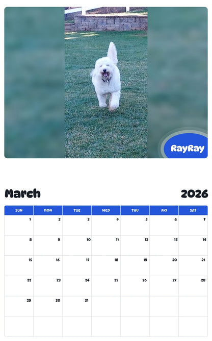 November 2025 - October 2026 RayRay - Pawidols Pet Calendar