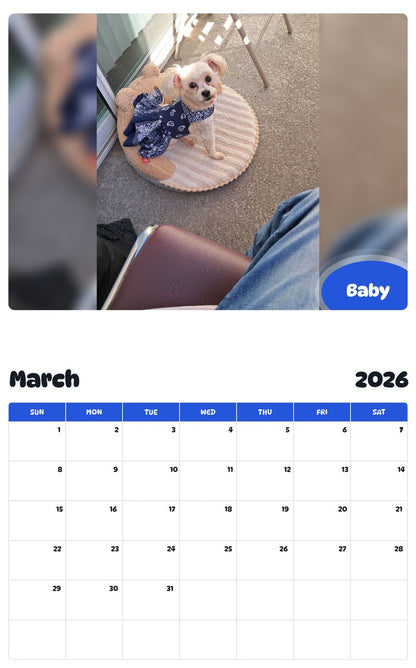 November 2025 - October 2026 Baby - Pawidols Pet Calendar