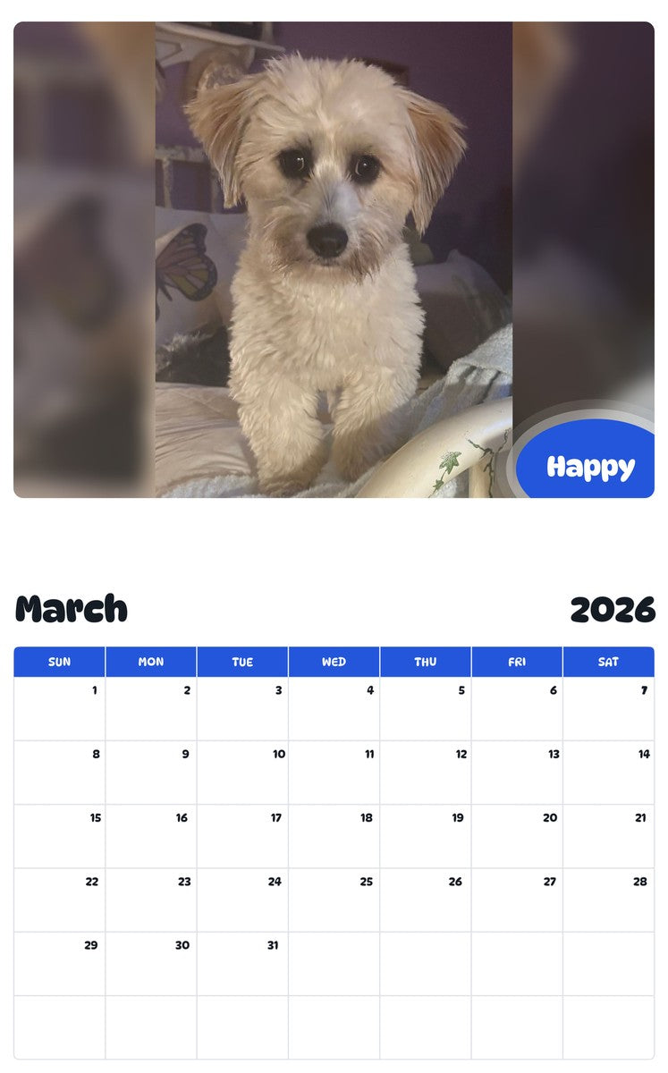 November 2025 - October 2026 Happy - Pawidols Pet Calendar