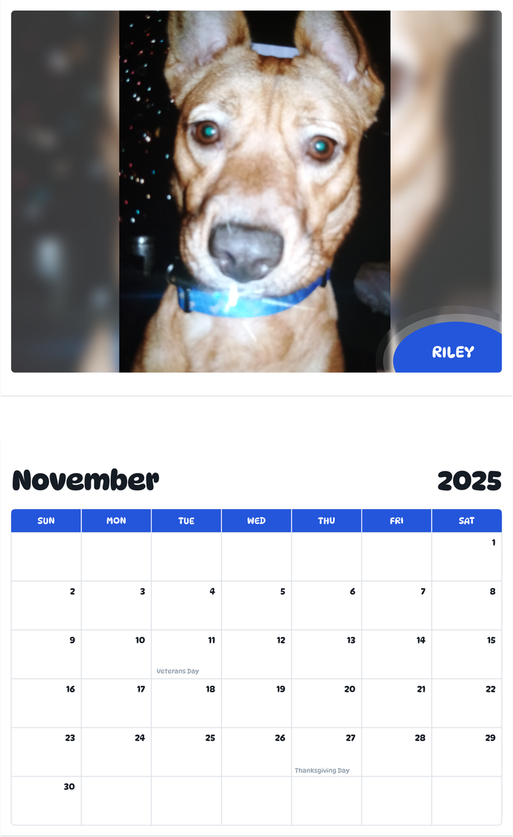 July 2025 - June 2026 Riley - Pawidols Pet Calendar